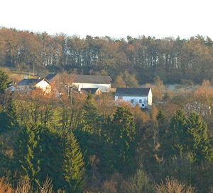 berghausen-8026d103.jpg