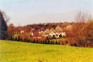 hoehnchen-cd4cfa20.jpg