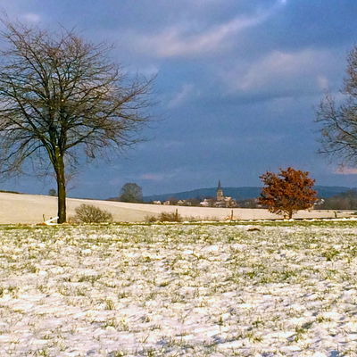 Mucher Senioren-Adventskalender
