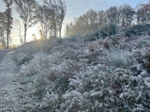 Frostlandschaft