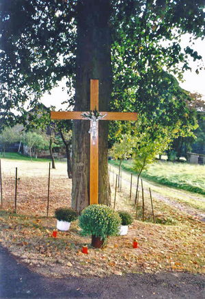 rosshohn-0973e3ec.jpg