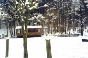 rossbruch-a23a3a75.jpg