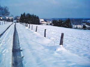 hohn-e87f1e11.jpg