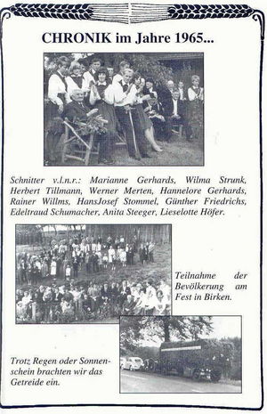 birken-1b4cb2fe.jpg