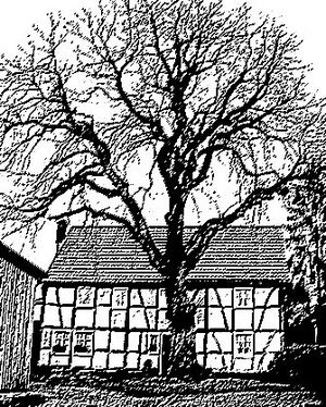 Hillesheim