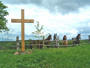 derscheid-4f2f2cbf.jpg