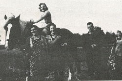 Foto Frauen auf Ackerpferd