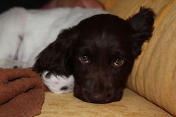 maddy-6ee38147.jpg