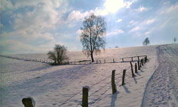schnee_a-29fb4da5.jpg