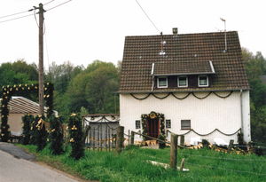 wiese-2ffb250b.jpg