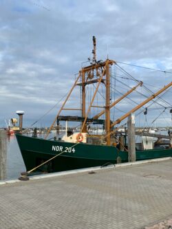 Fischerboot