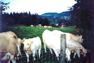 Strießhardt