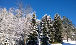 schneelandschaft-2_foto-specht_a-e5884c90.jpg