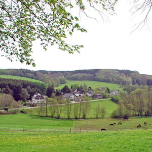 niederhof-6dfc8a8a.jpg