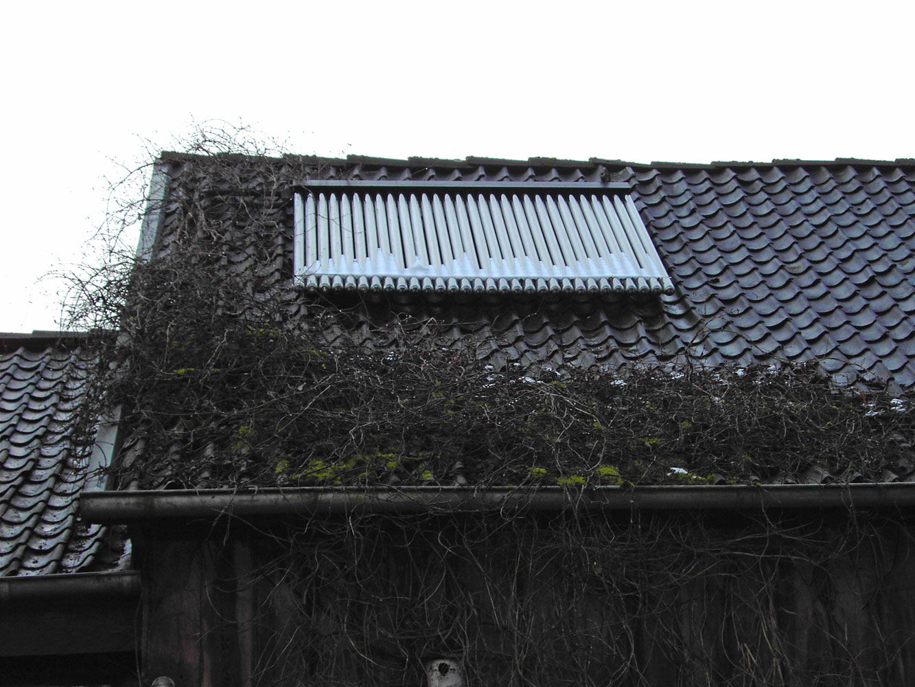 Solarkollektoren auf dem Scheunendach, Steeger
